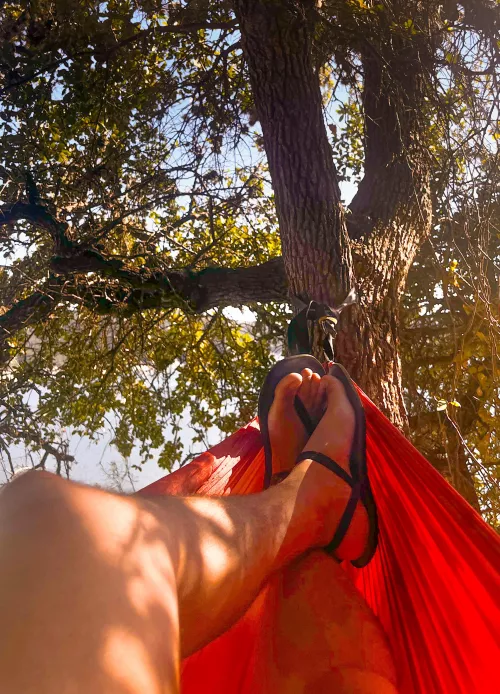 The perfect day for a hang 