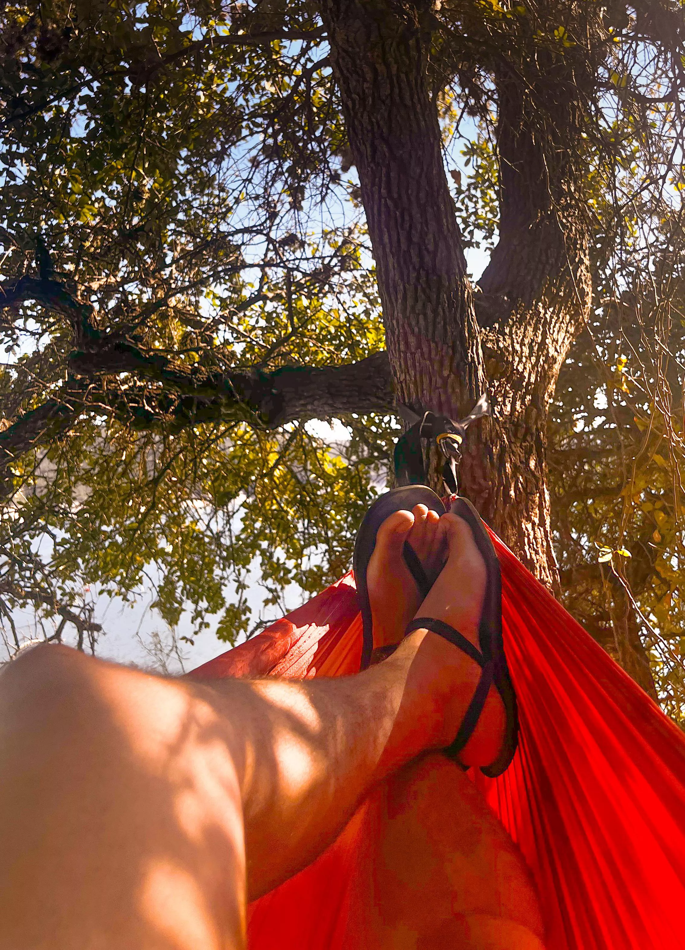 The perfect day for a hang 