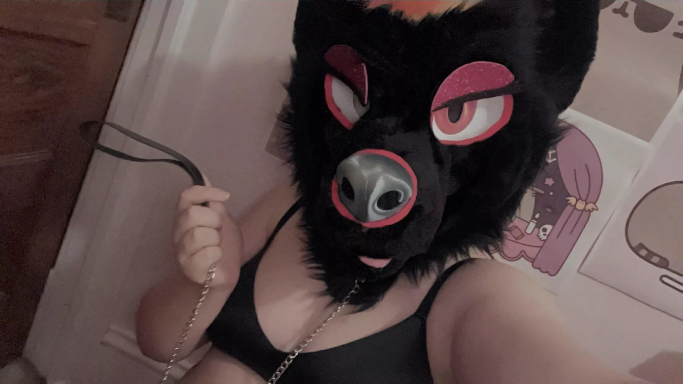 think you have what it takes to hold onto this leash? 