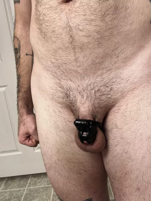 This cage is so snug that even attempting an erection is a small feat