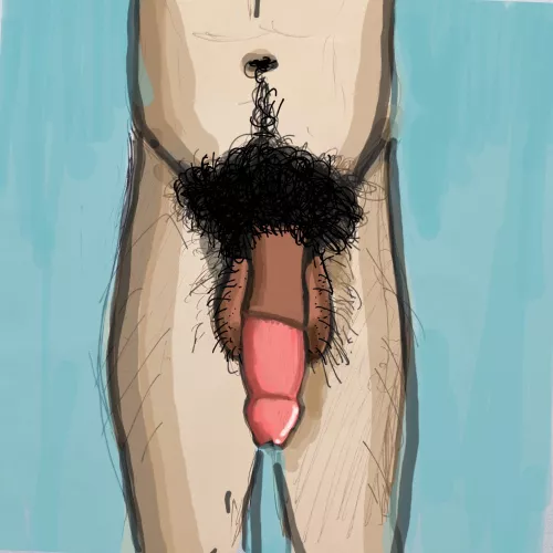 This is how An ideal circumcised penis should be-