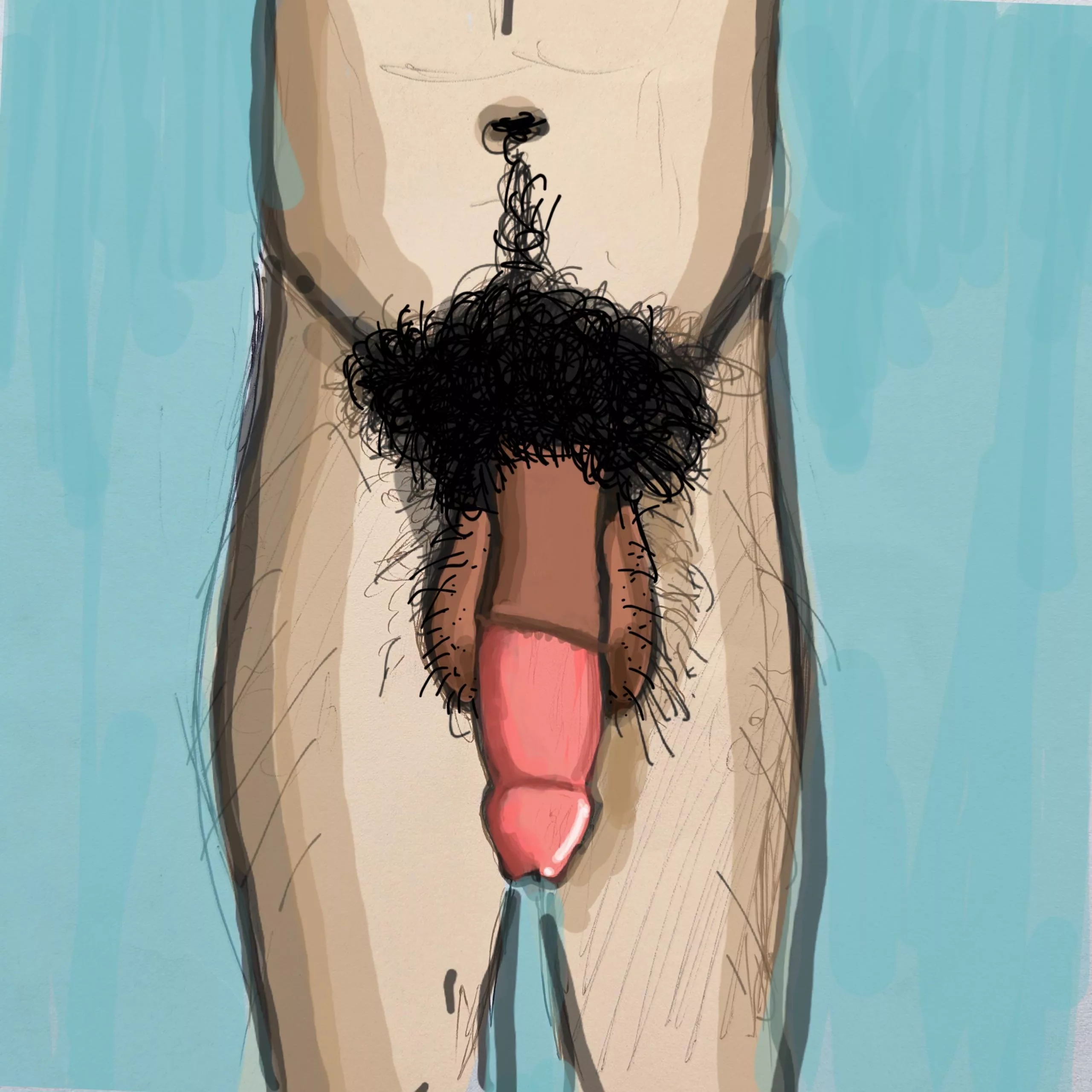 This is how An ideal circumcised penis should be-