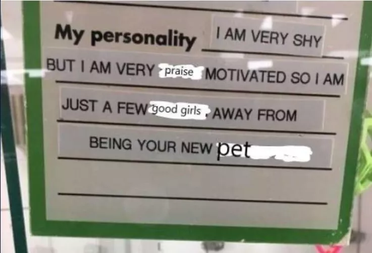 two words 8 letters, say it (repeatedly) and I'm yours