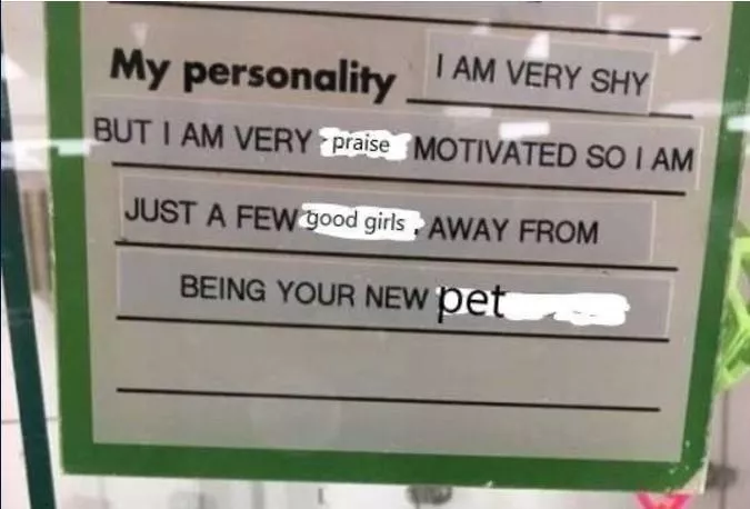 two words 8 letters, say it (repeatedly) and I'm yours