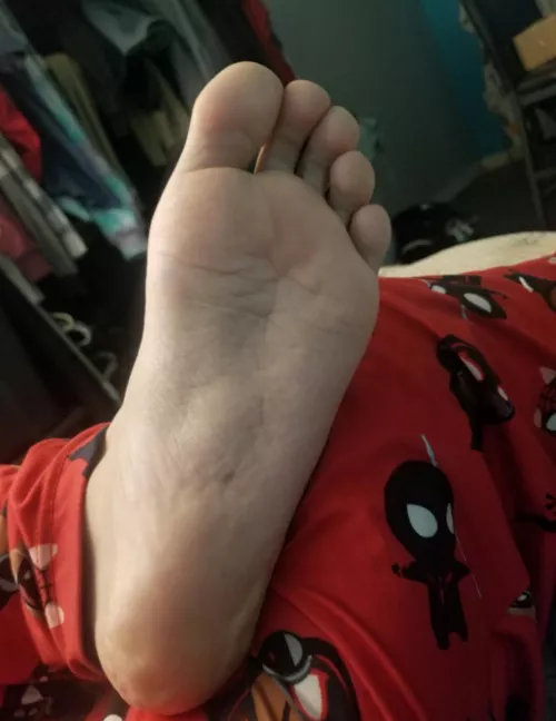 Wanna have fun with them while I study?