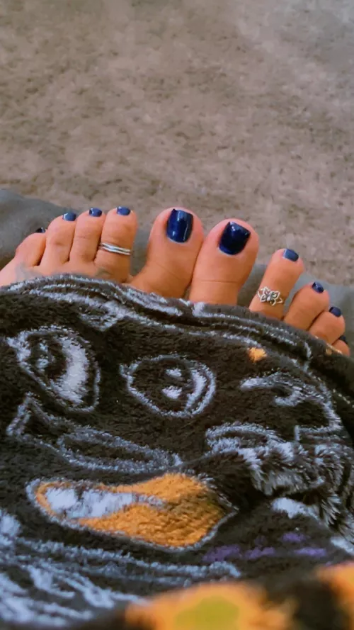 Who wants to cuddle my feet ? (OC) 