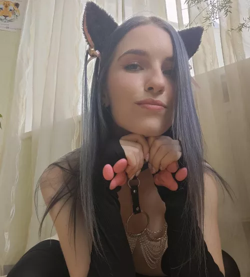 your sweet kitten will behave obediently