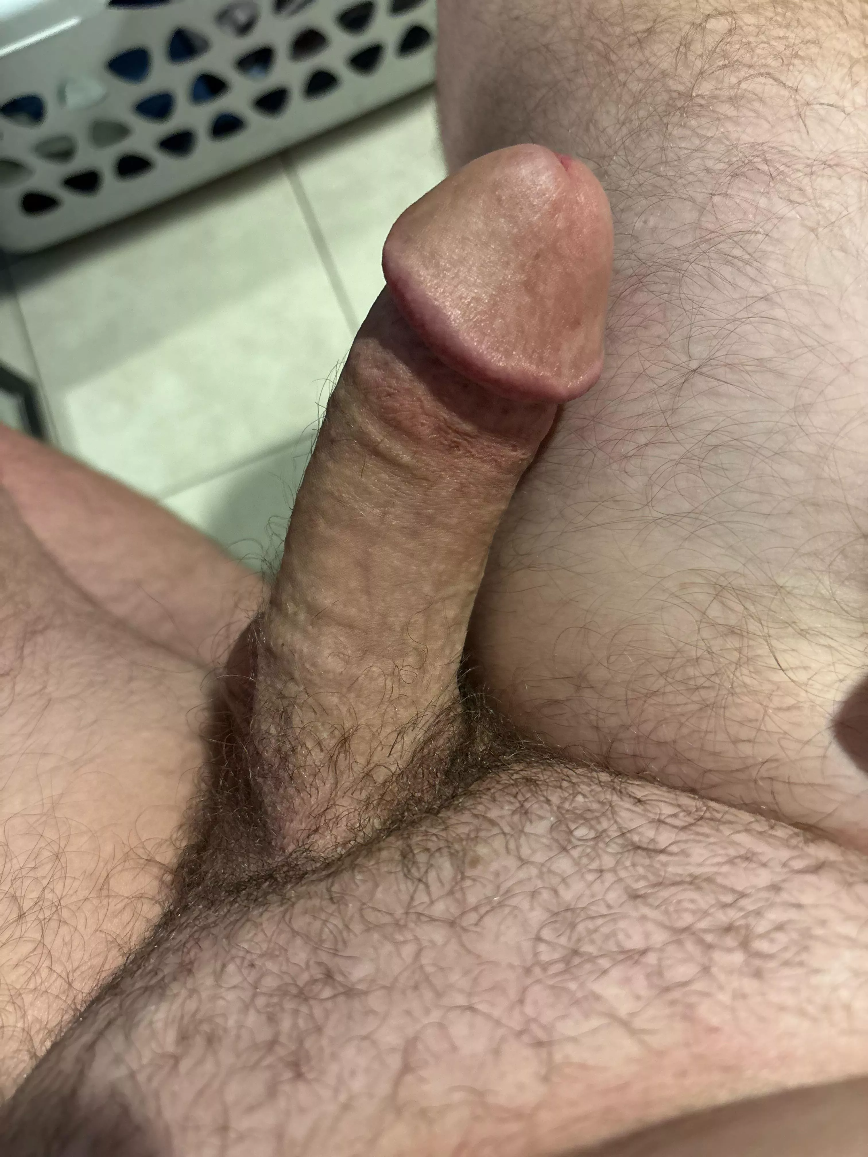 28 y.o. white cock
