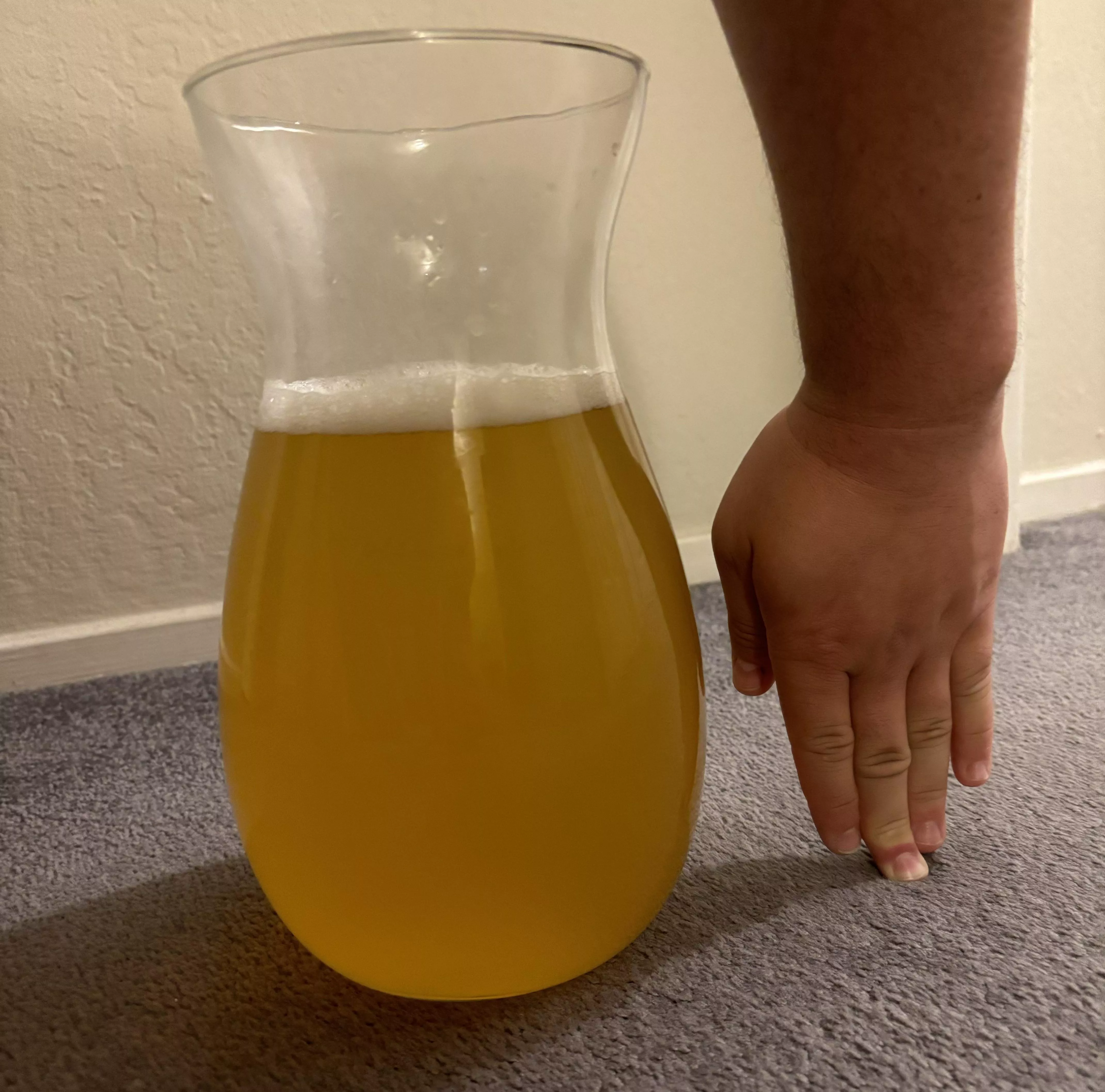 A Day's worth of My Piss😱