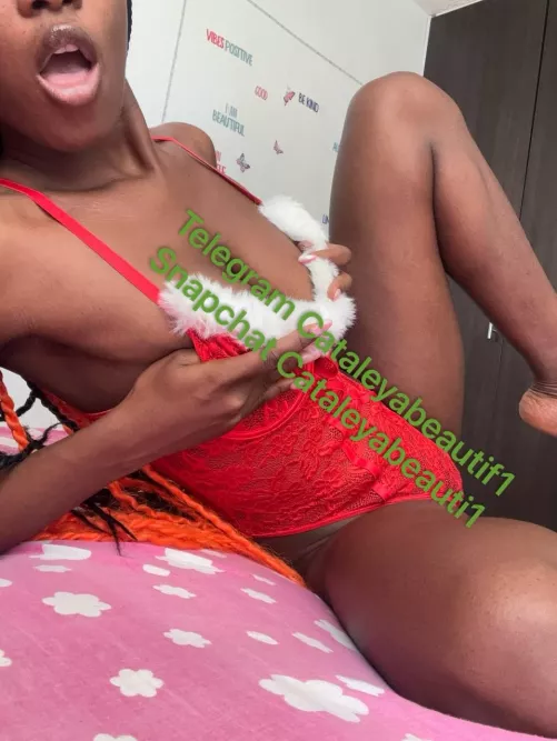 Are you ready for the Christmas season?