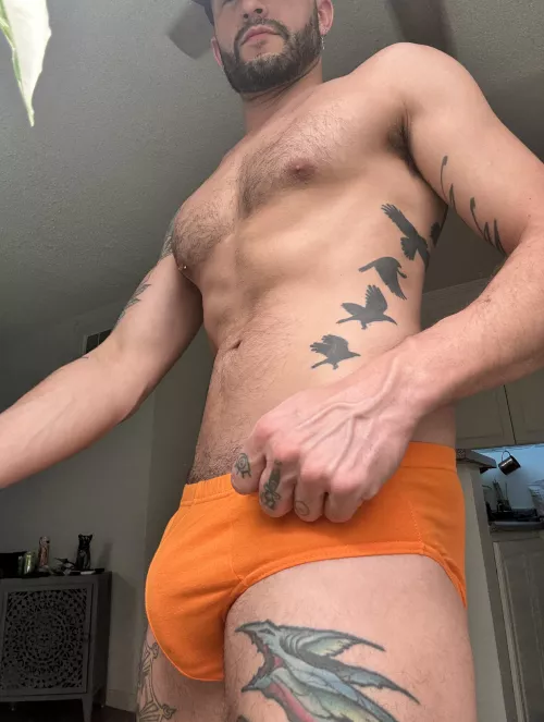 Briefs 🍊🍊