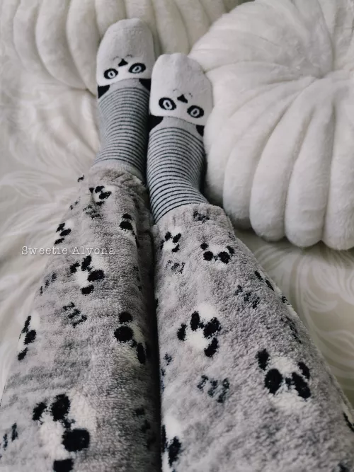 Cute and cozy 🐼