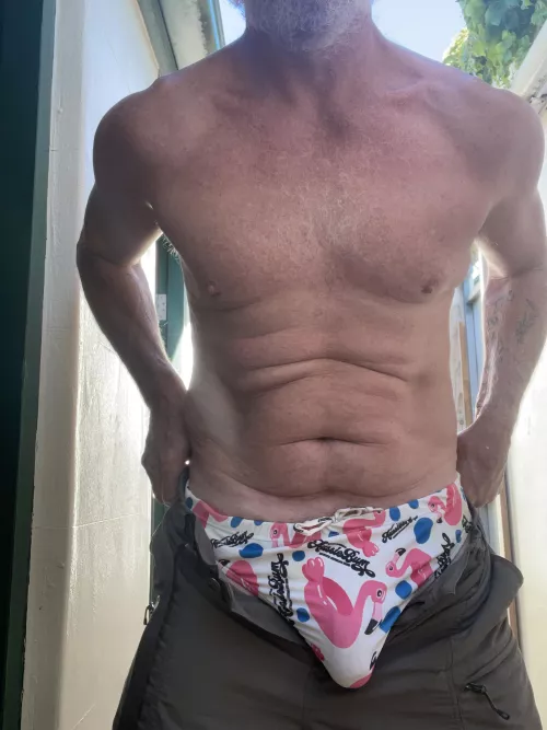 Flamingo Friday 🦩