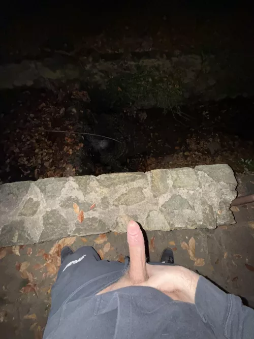 Got a little adventurous 