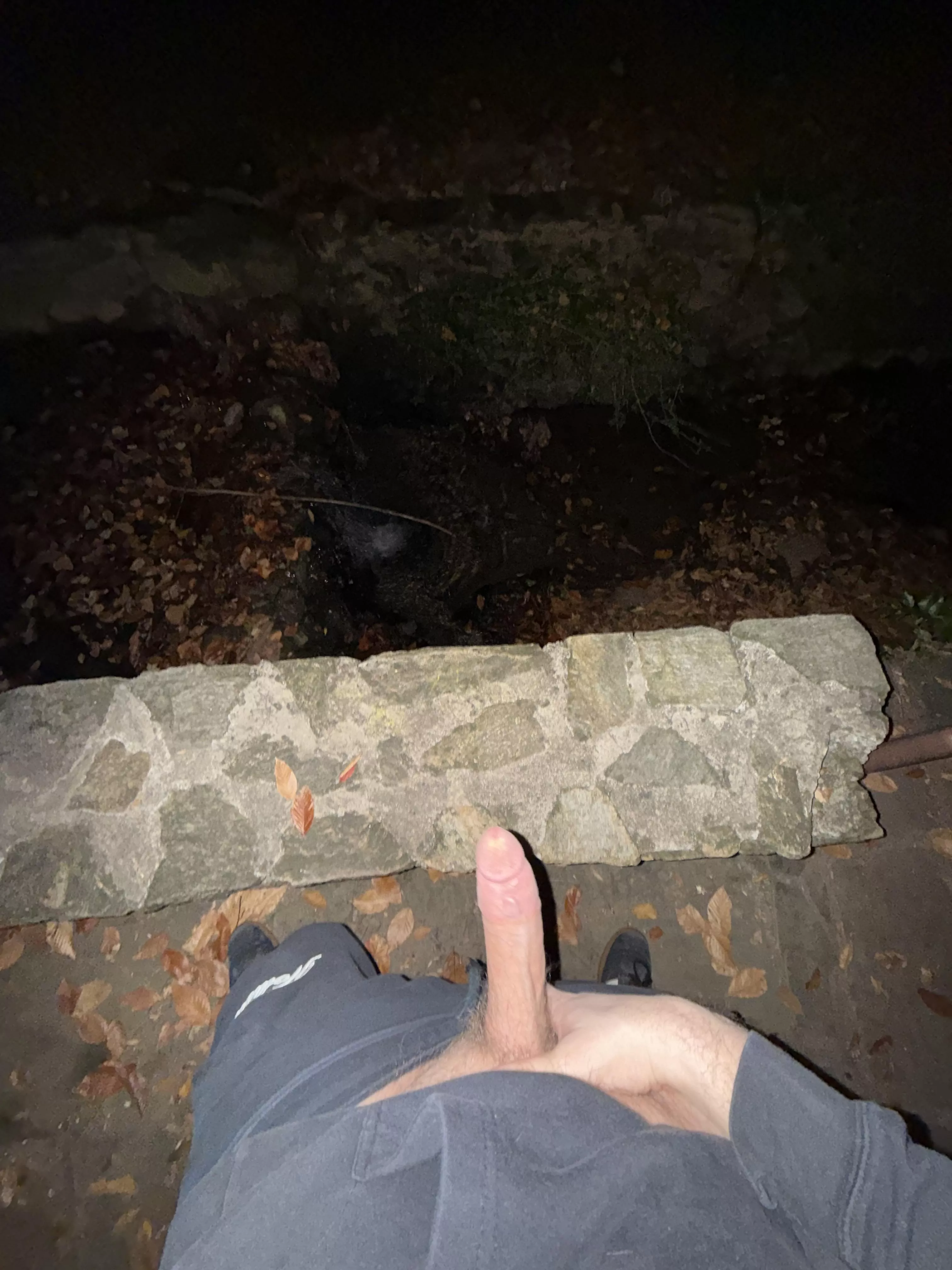 Got a little adventurous 