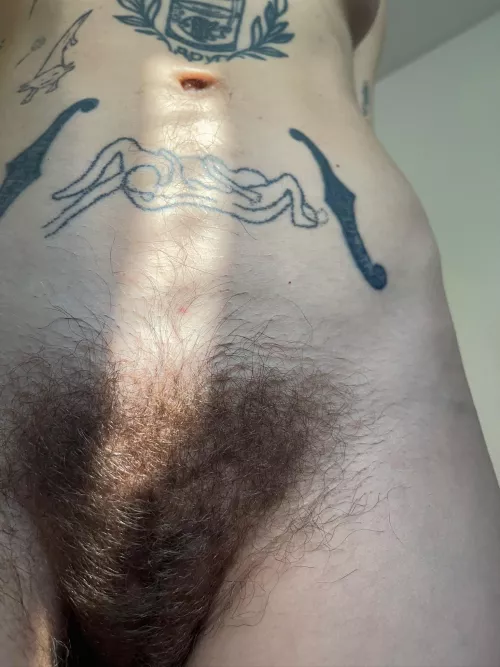 Hairy and juicy, made to leave you craving
