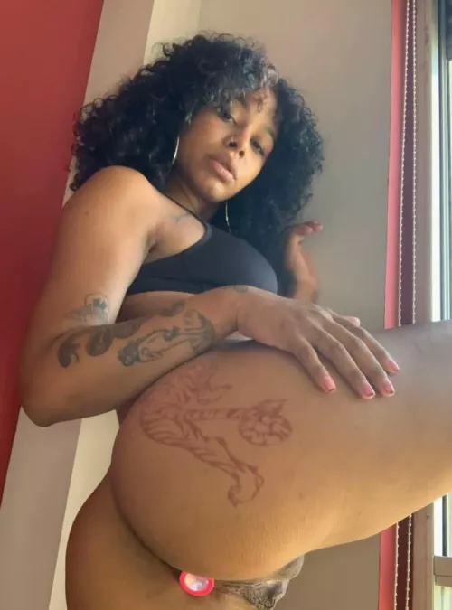 I think your missing my ass in your face
