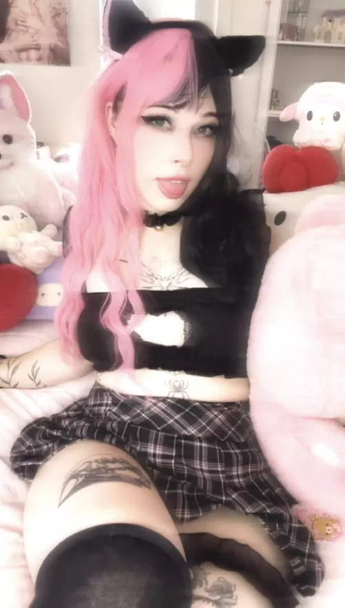 life is better with a cat