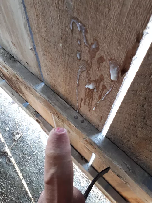 Marking my Territory 