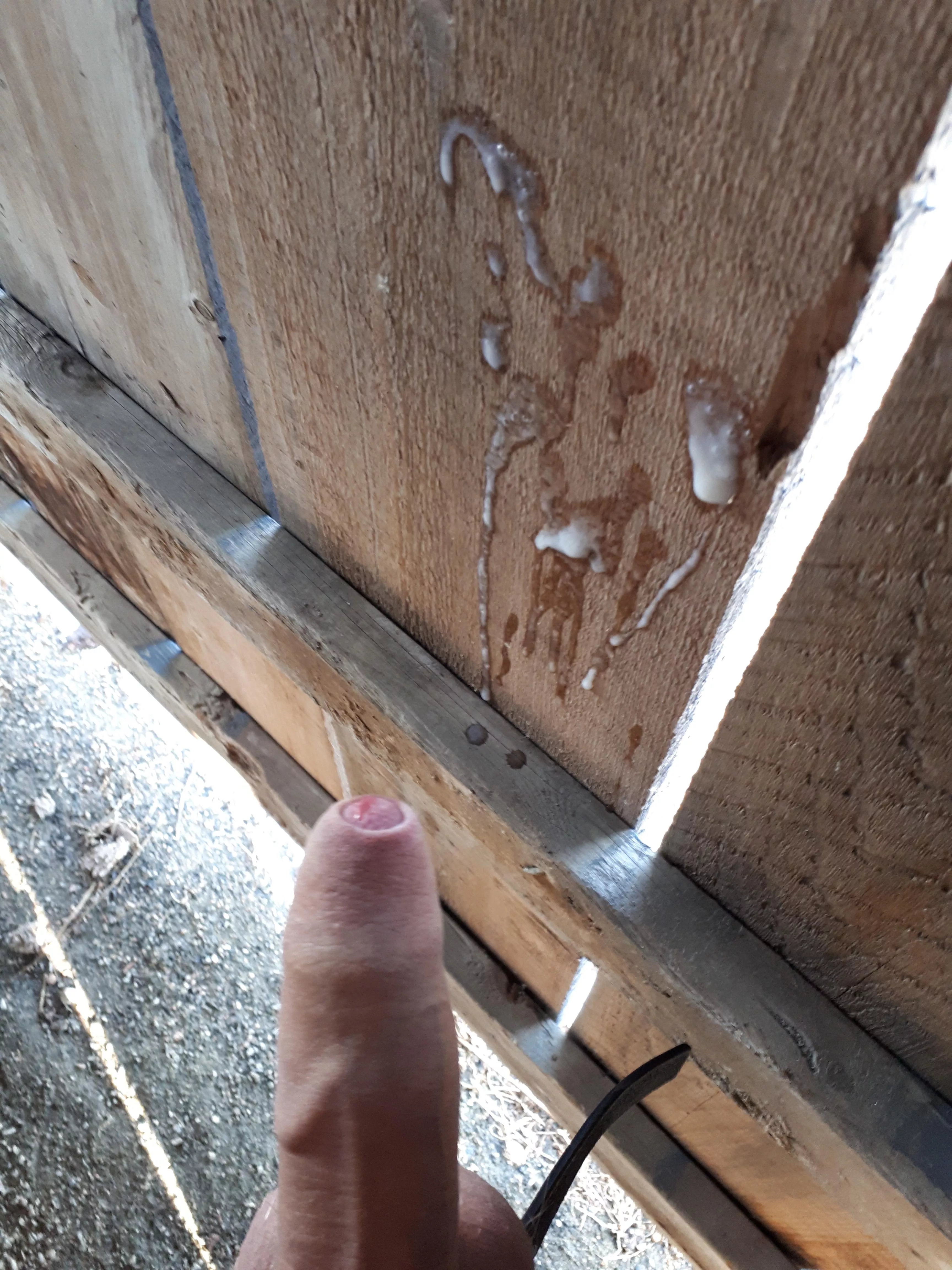 Marking my Territory 