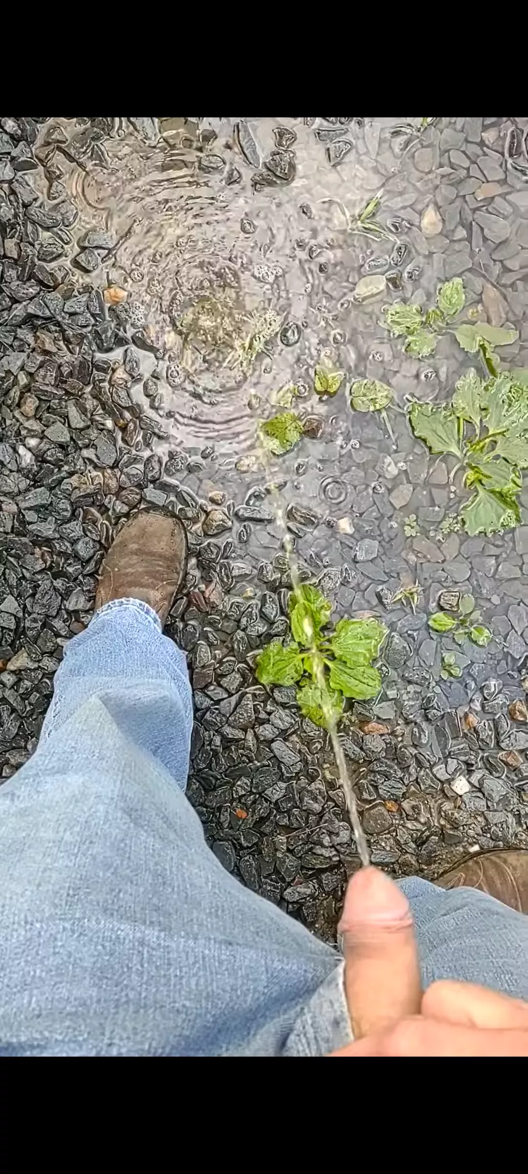 Puddle peeing 