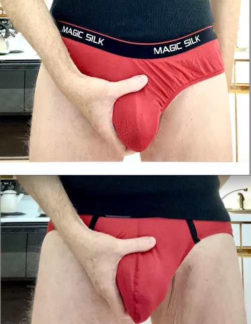 Red Magic Silk Briefs, Red Wildman-T Briefs