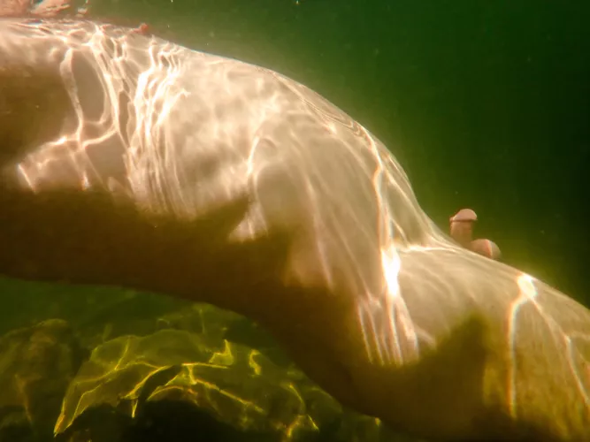 skinnydipping at the lake on a sunny day. the water is cool but it feels great 