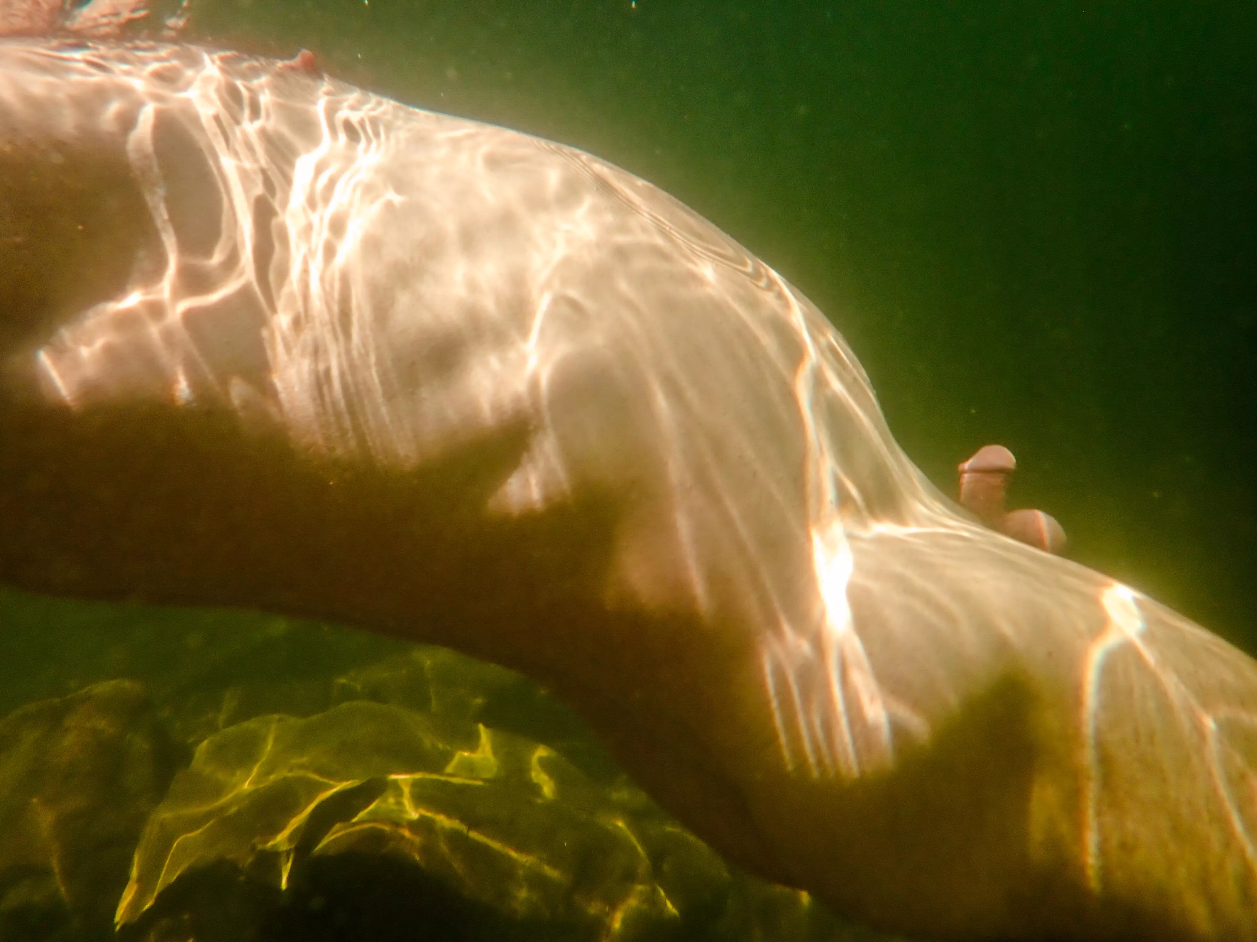 skinnydipping at the lake on a sunny day. the water is cool but it feels great 
