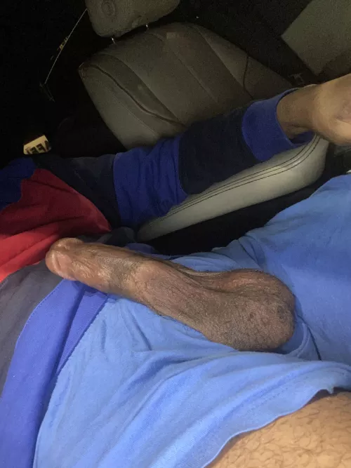 springhill or columbia 