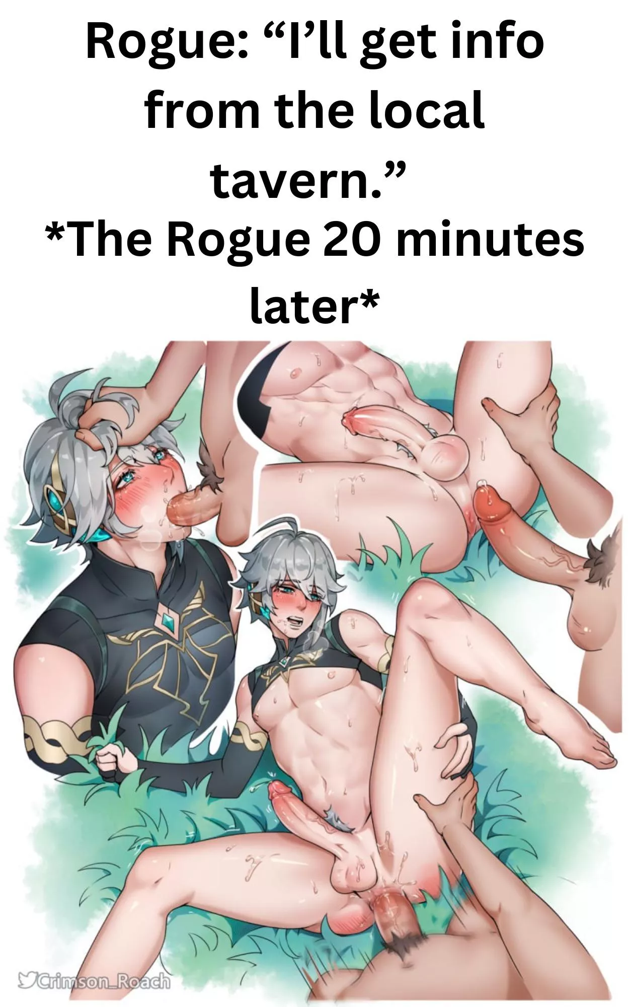 The Rogue Gathers info
