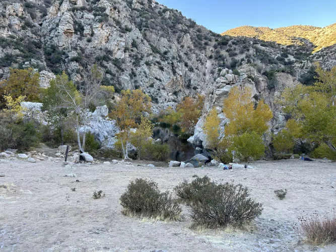 Trip report 11/15-11/17