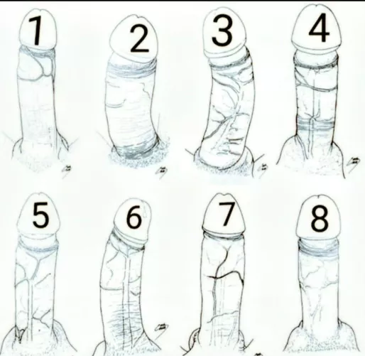 What's your favorite to ride on