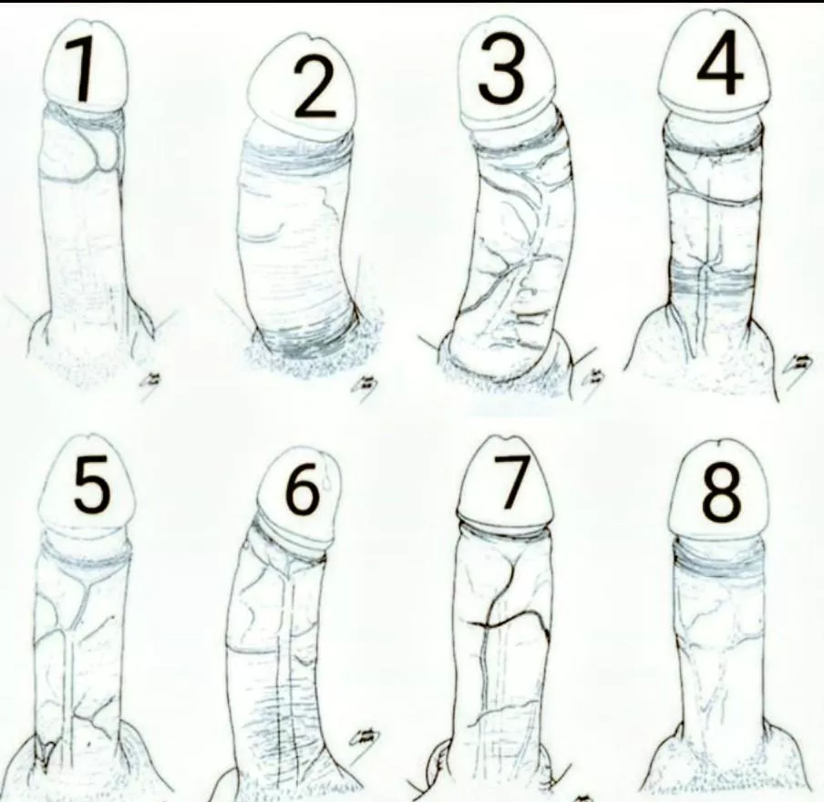 What's your favorite to ride on