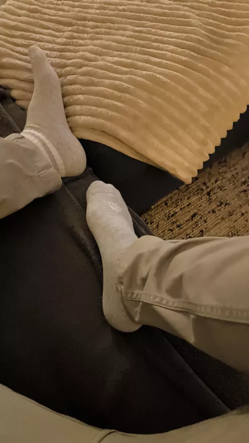 Who wants to lick? North 