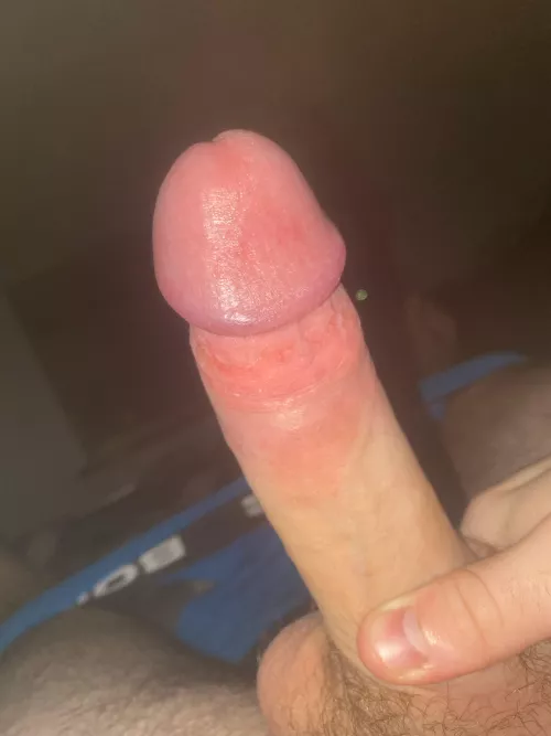 18m, looking for f or T