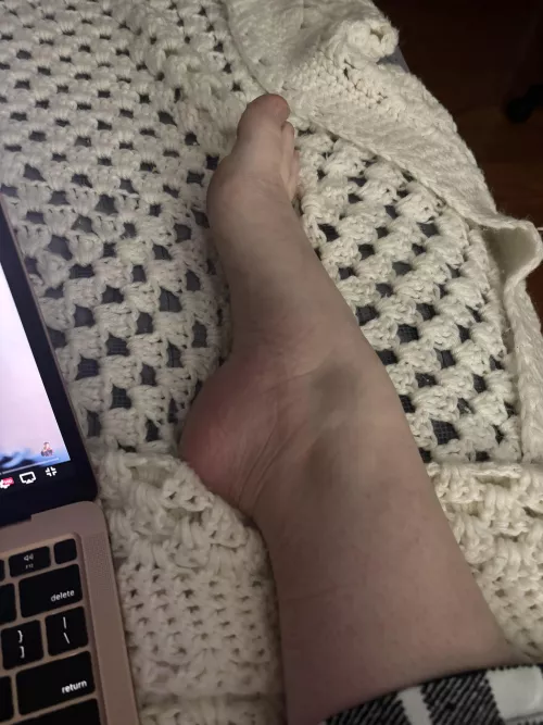 Anybody looking for a good arch? 