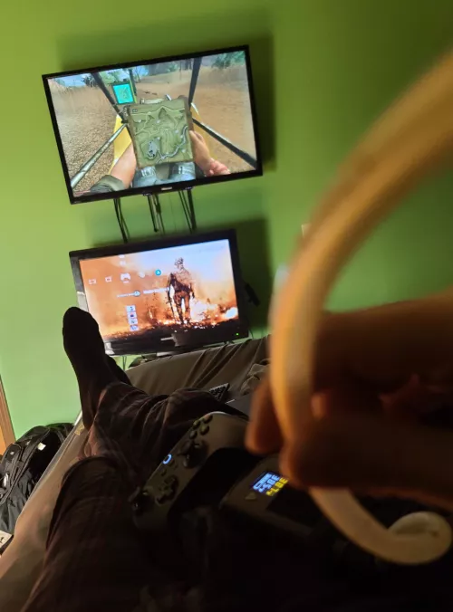 Anyone else go hands-free with the whip every now and again to really get immersed in that gaming experience? 