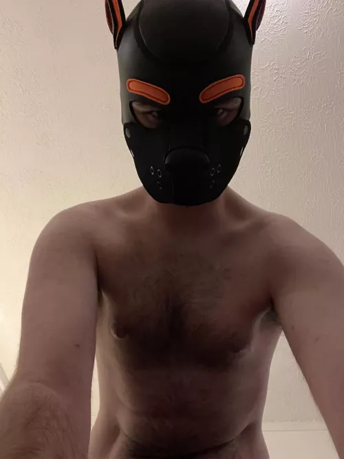 Been in such a dominant mood lately, just want to pin a pup down under me 😈😵‍💫