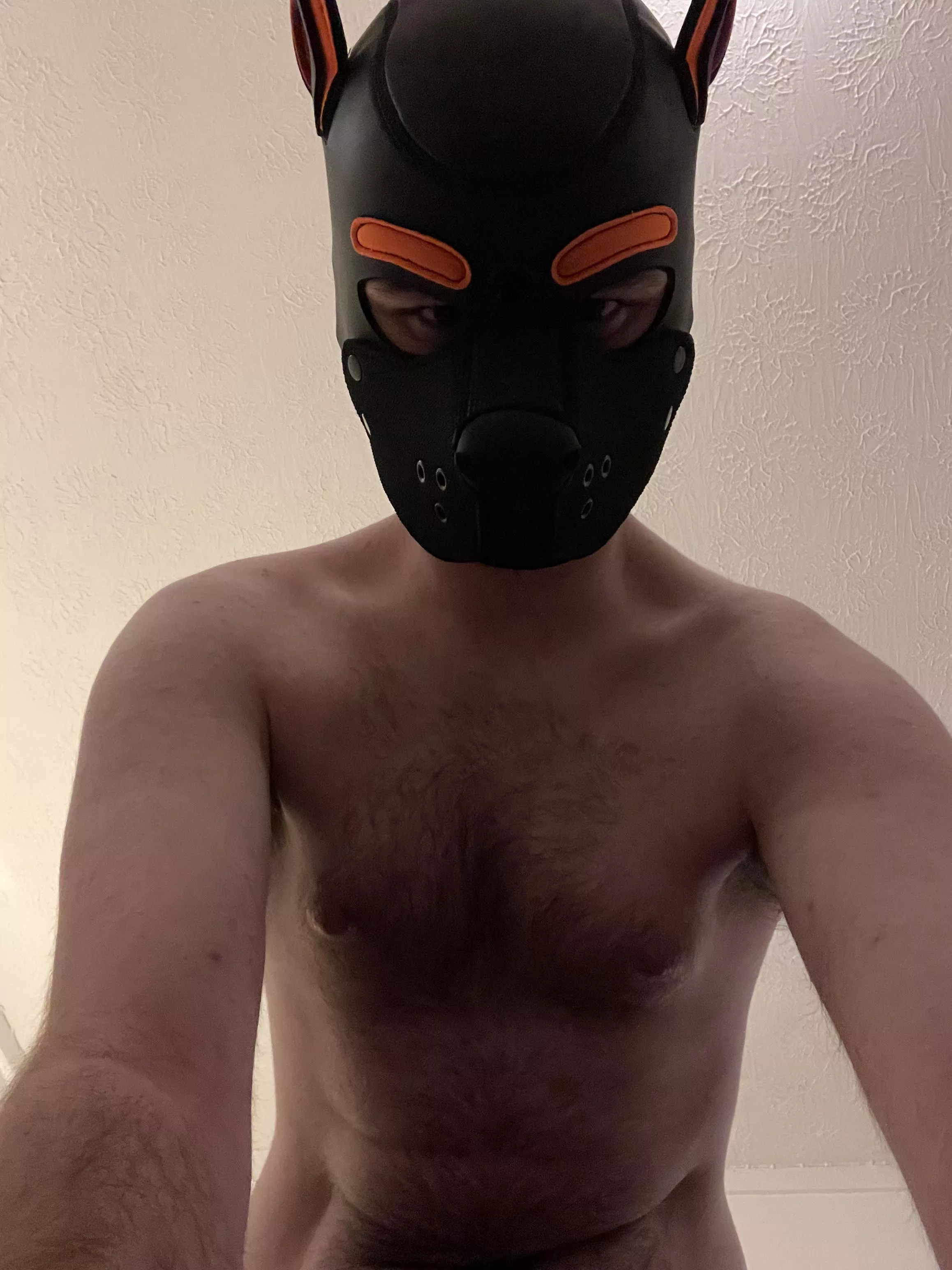 Been in such a dominant mood lately, just want to pin a pup down under me 😈😵‍💫