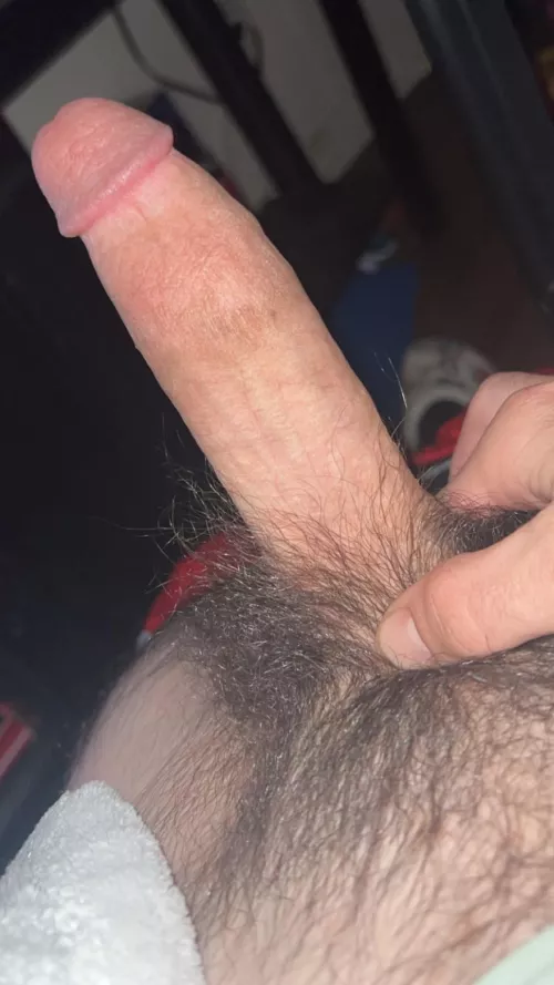 Big or small what is your opinion 