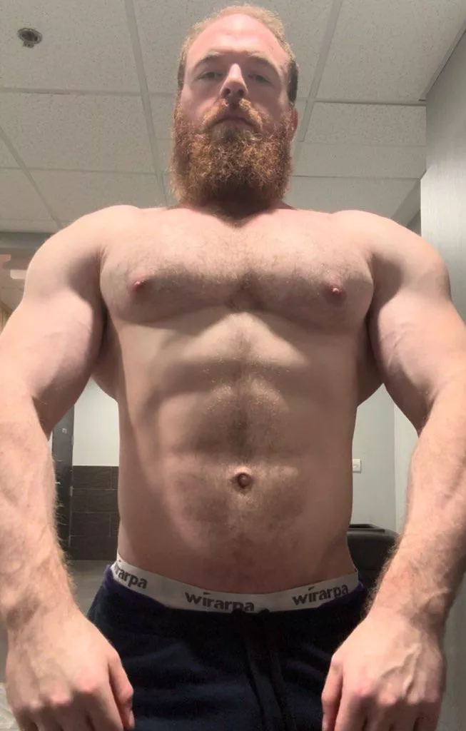 Building my taper for you, bro