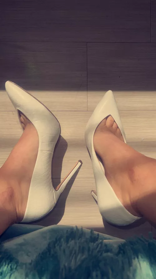 Can I walk all over you bitch? 