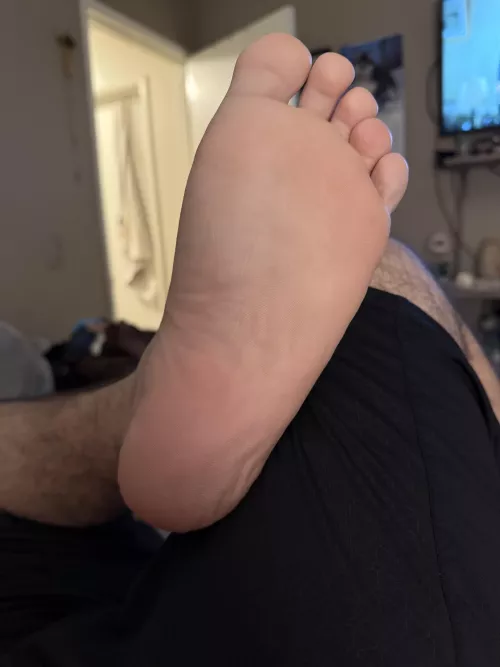 come sniff them 