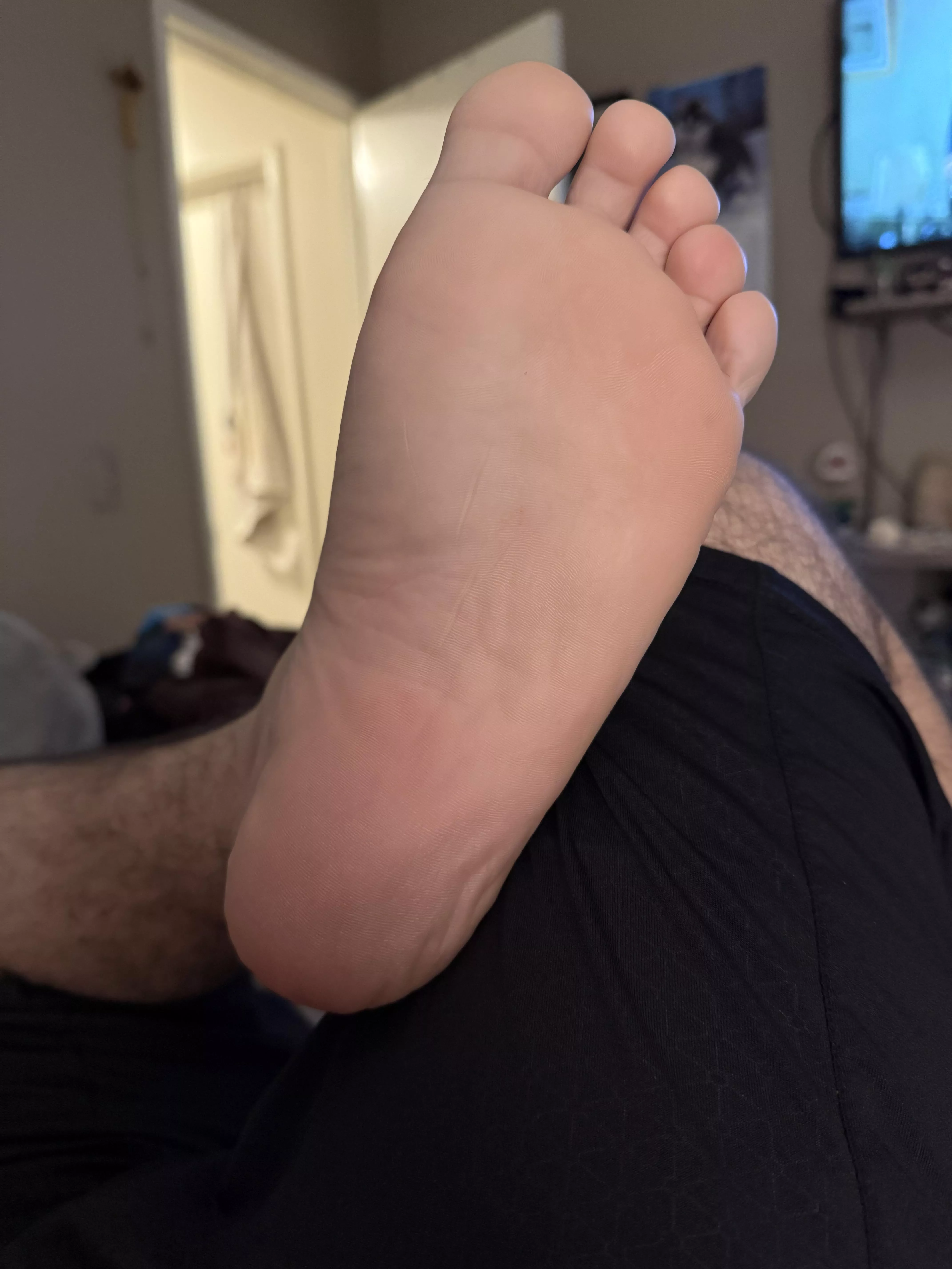 come sniff them 