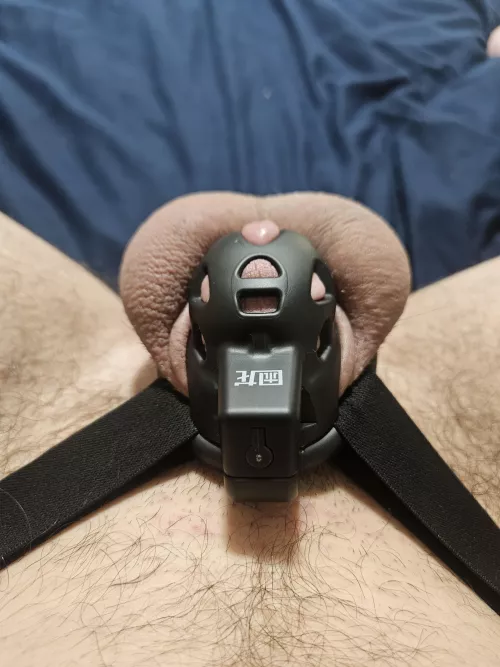 Day 3 permenant chastity 