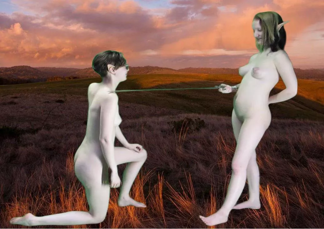 Elves begging a quest