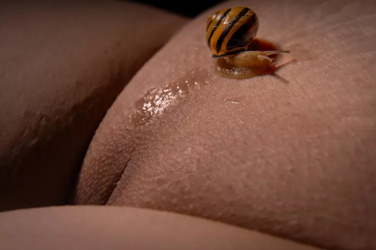 Exploring the Landscape