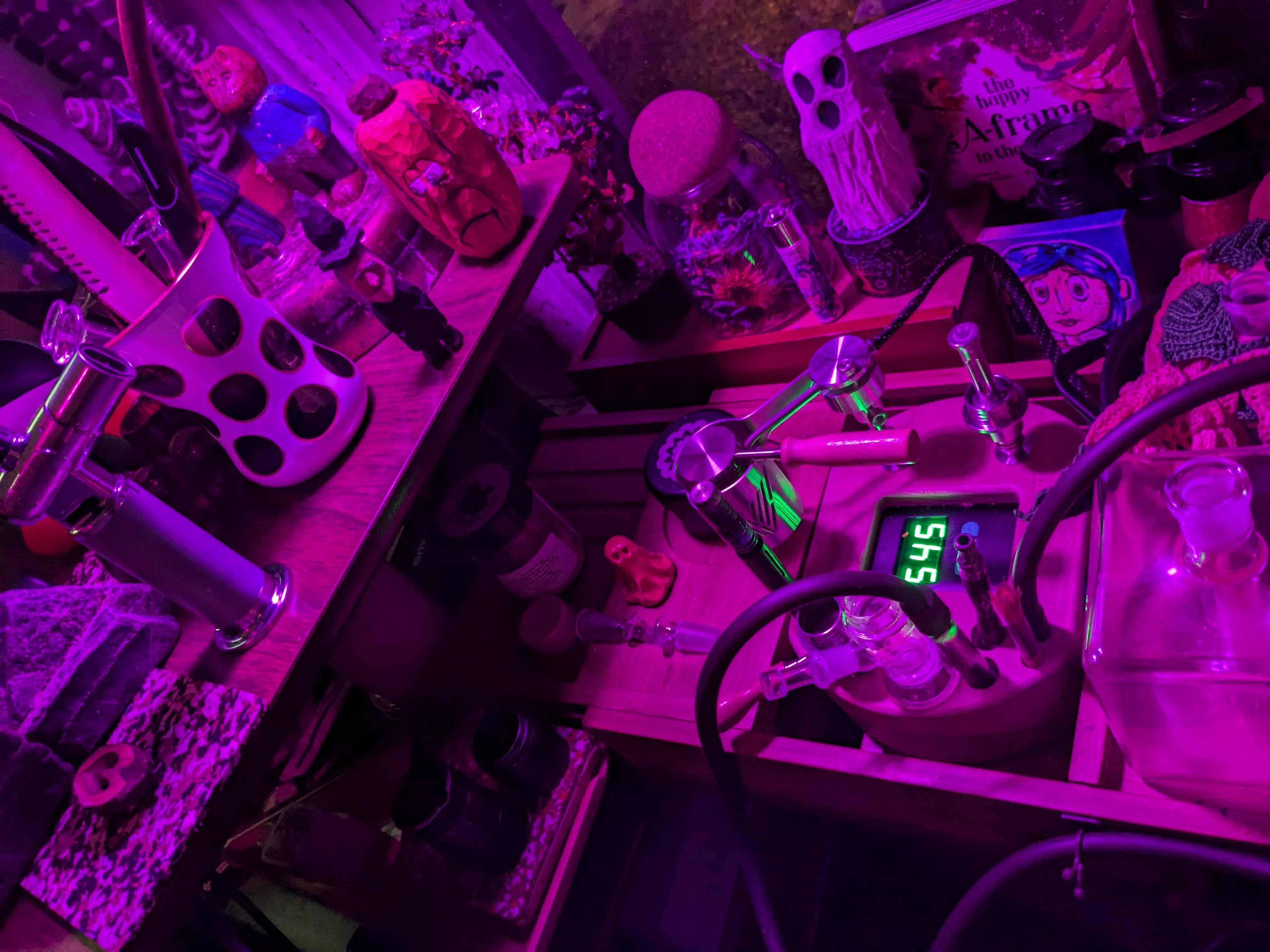 Got my Ace. Got high. Wondered if I could vape the leftover fresh parsley from Thanksgiving. I could. Pretty nummy. Thank you for coming to my Ace review. 