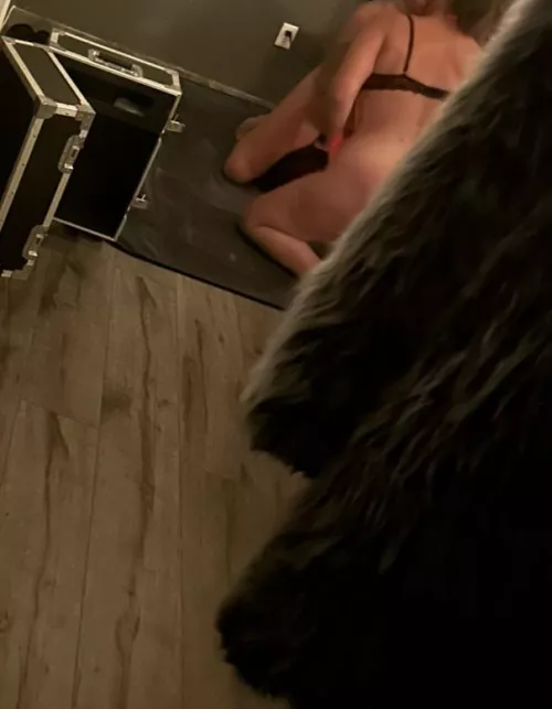 Hell of a night with the motor bunny