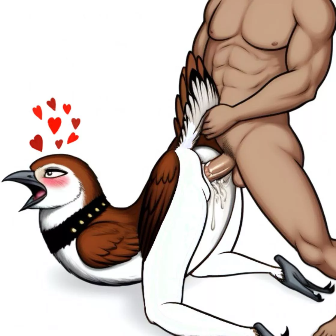 How to please your bird friend